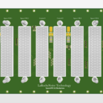 LAROCHENOIRE TECHNOLOGY SapceVPX Compliant Backplane